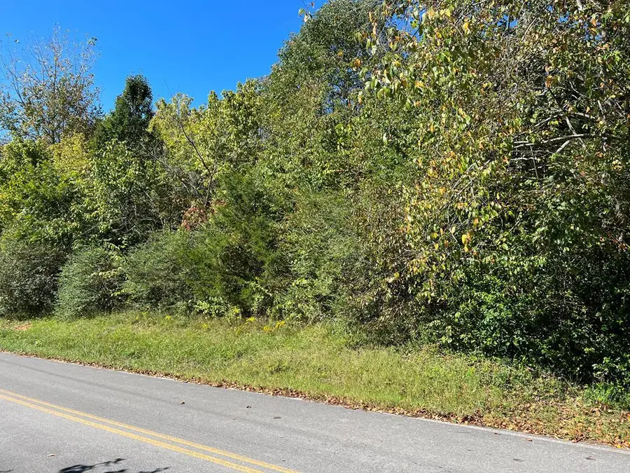 4.12 AC Hwy 42 Bypass/tulip Ave, Byrdstown, TN 38549 - Image #2