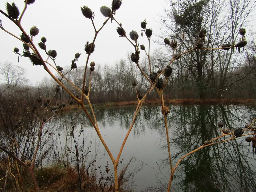 Lot 36 Lanis Rd, Baxter, TN 38544 - #1