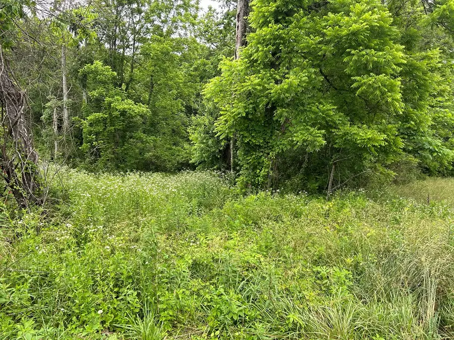 n/a Chapman St, Jamestown, TN 38556 - #3