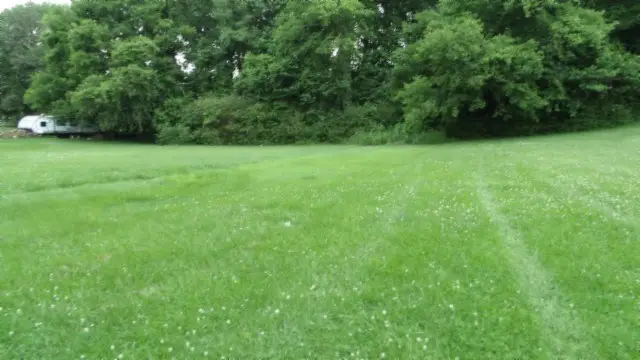 1.60ac Swan (swann) Street, Celina, TN 38551 - Image #3