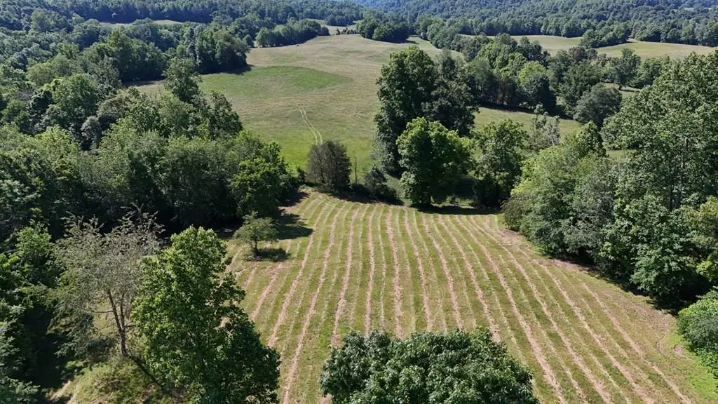 Tract#17 Legacy Trace, Burkesville, KY 42717 - Image #1