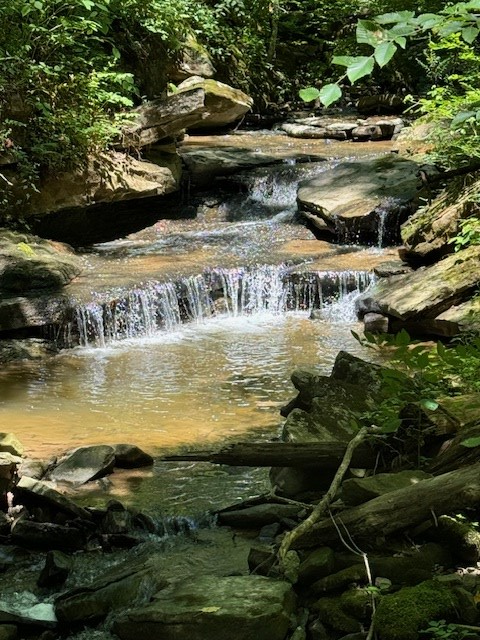 0 Monterey Hwy, Monterey, TN 38574 - Image #3