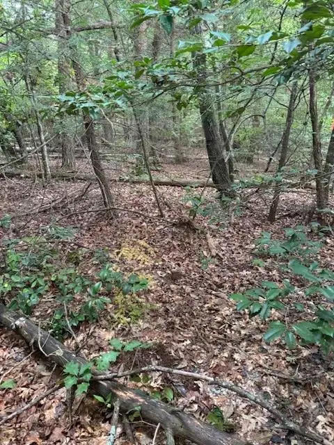 0 Cumberland Lakes Dr, Monterey, TN 38574 - #3