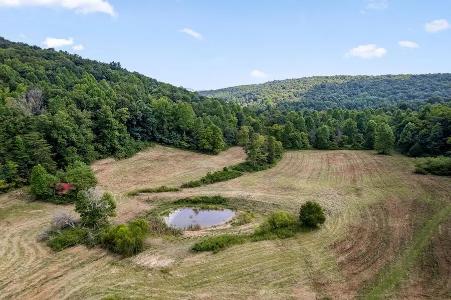 2641 2641 Stamps Shady Grove Rd., Monterey, TN 38574 - #3