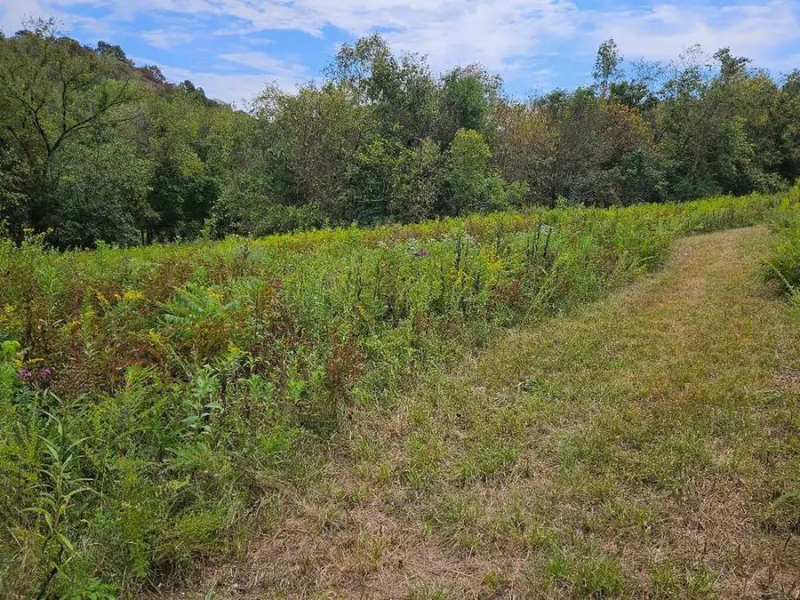 00 Highway 96, Buffalo Valley, TN 38548 - Image #2