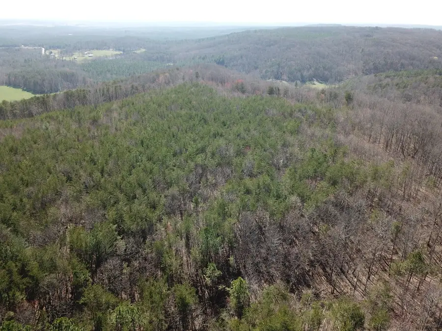 Address Withheld By Seller, Rockwood, TN 37854 - Image #3