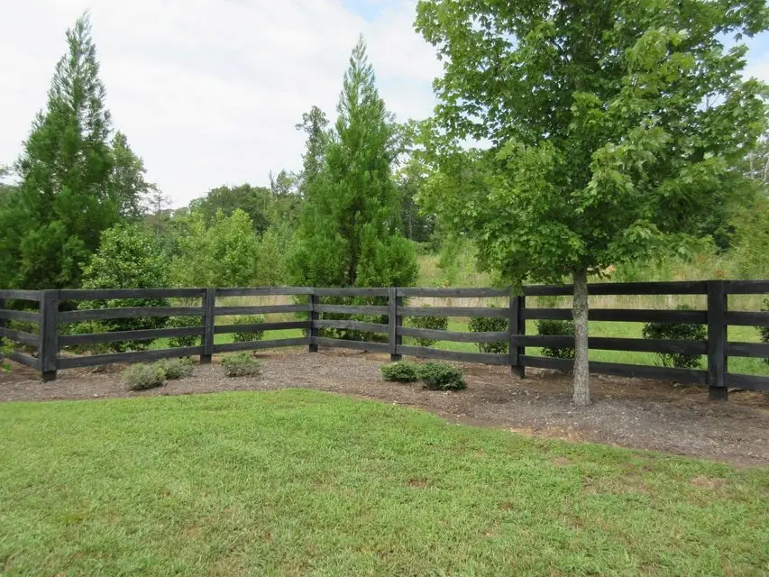 300 Caney View Drive, Harriman, TN 37748 - Image #3