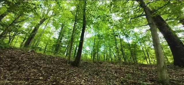 701 Blue Water Dr_lot 85, Cookeville, TN 38506 - Image #2