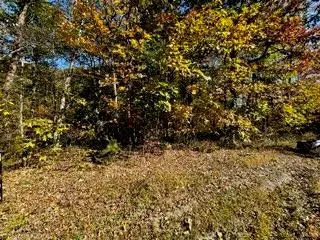 Lot 46 Honey Springs Rd., Crawford, TN 38554 - Image #2