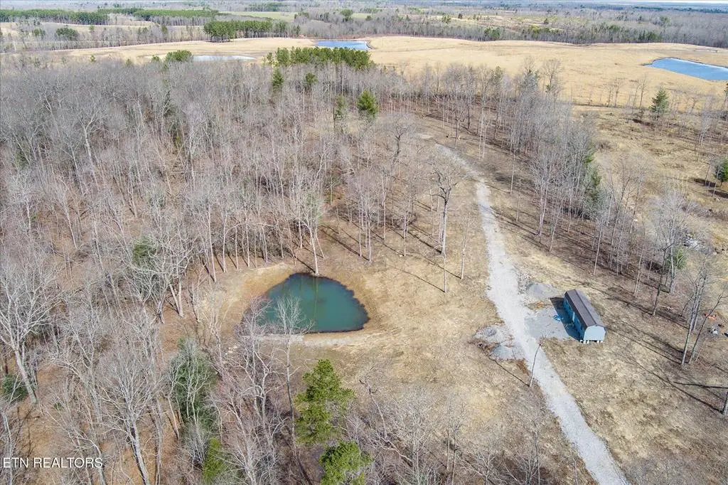 372 Perkins Trail, Deer Lodge, TN 37726 - Image #1