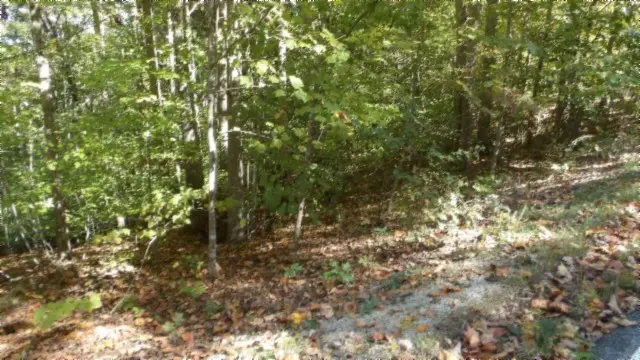 Lot 2 Inland Court, Sparta, TN 38583 - Image #3