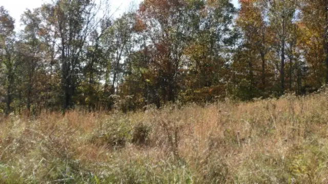 8.60ac Moss Arcot Rd, Celina, TN 38551 - Image #3