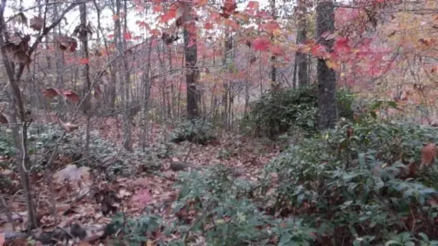 Lot 349 Drew Court, Smithville, TN 37166 - Image #1