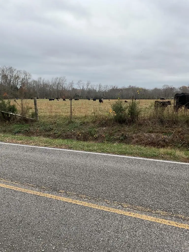 3203 Lee Seminary Rd, Cookeville, TN 38506 - Image #3