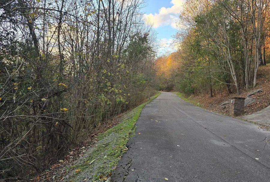 114 Shoreside Dr, Smithville, TN 37166 - Image #2