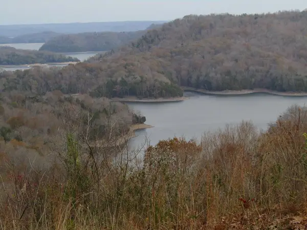 Lot 27C E Rockfish Rd, Hilham, TN 38568