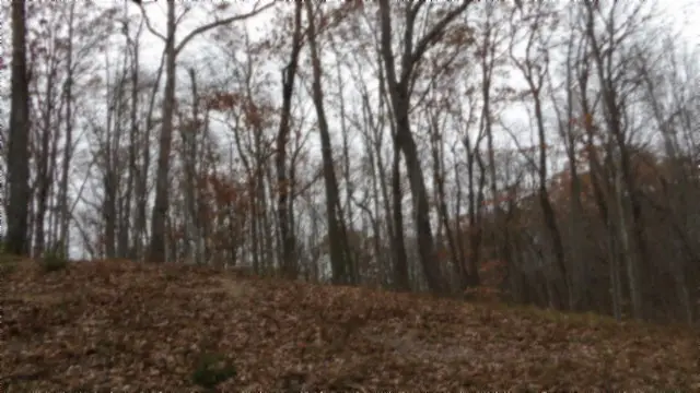 Lot 23 Cumberland Cove Rd, Monterey, TN 38574 - #2