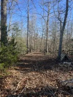 00 Genesis Road, Lancing, TN 37770