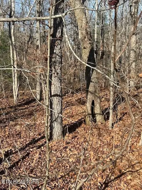 9142 Weketa Circle, Crossville, TN 38572 - Image #2