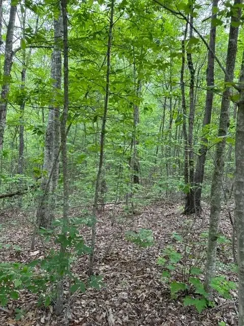 Lot 91 Buckeye Lane, Wilder, TN 38589 - Image #2