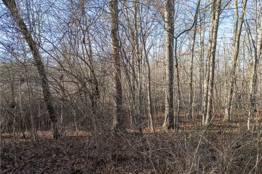 Lot 1735 Satsuma Dr, Crossville, TN 38555 - Image #2