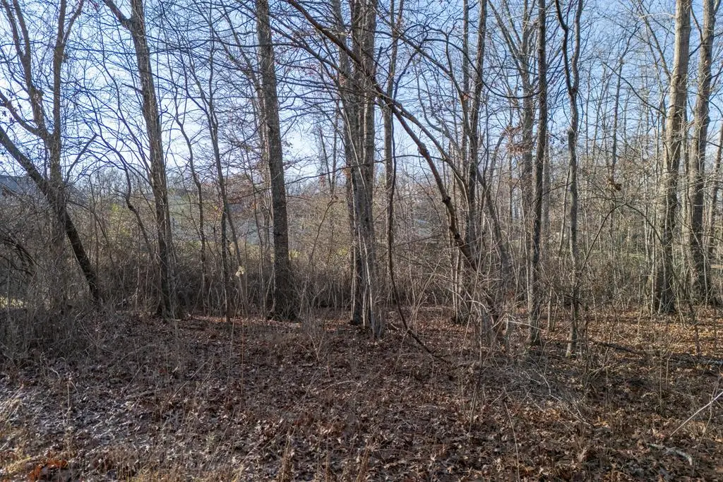 Lot 1736 Satsuma Dr, Crossville, TN 38555 - Image #1