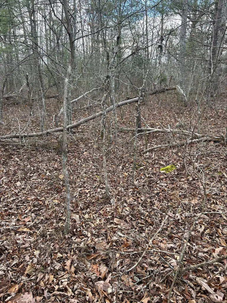 4127 Moccasin Lane, Crossville, TN 38572 - Image #3