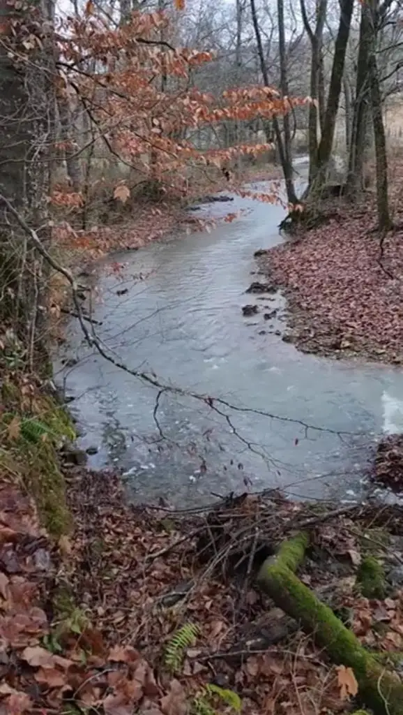 250 Justin Ln., McMinnville, TN 37110 - Image #2