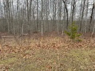 50194 Buckeye Lane, Crawford, TN 38554 - Image #1