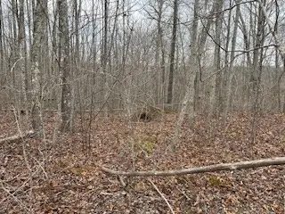 50194 Buckeye Lane, Crawford, TN 38554 - Image #2