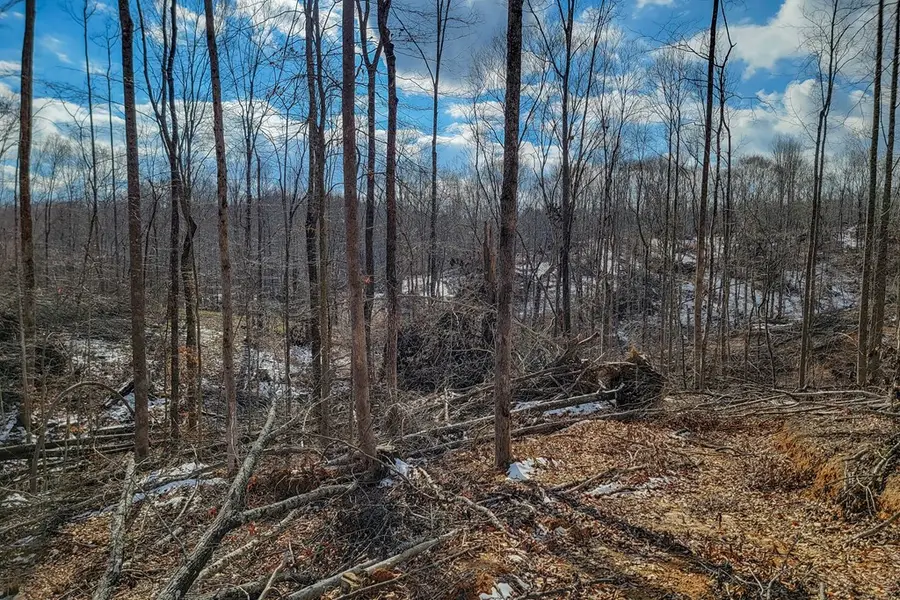 5.33 AC Hutchins Bend Rd, Sparta, TN 38583 - Image #2