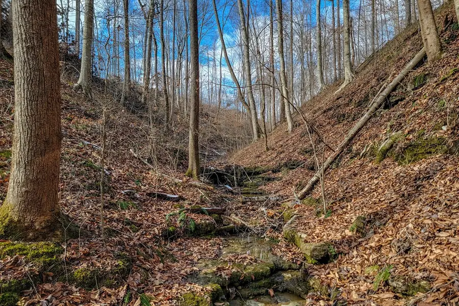 6.24 AC Hutchins Bend Rd, Sparta, TN 38583 - Image #2