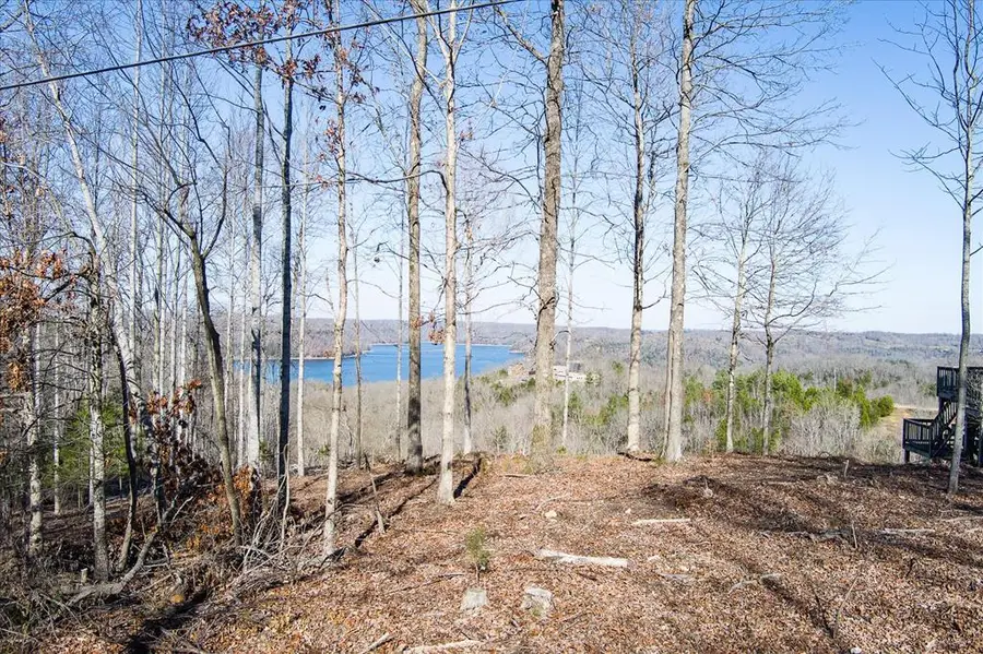 Lot 23 Lillydale Rd, Byrdstown, TN 38549 - Image #2