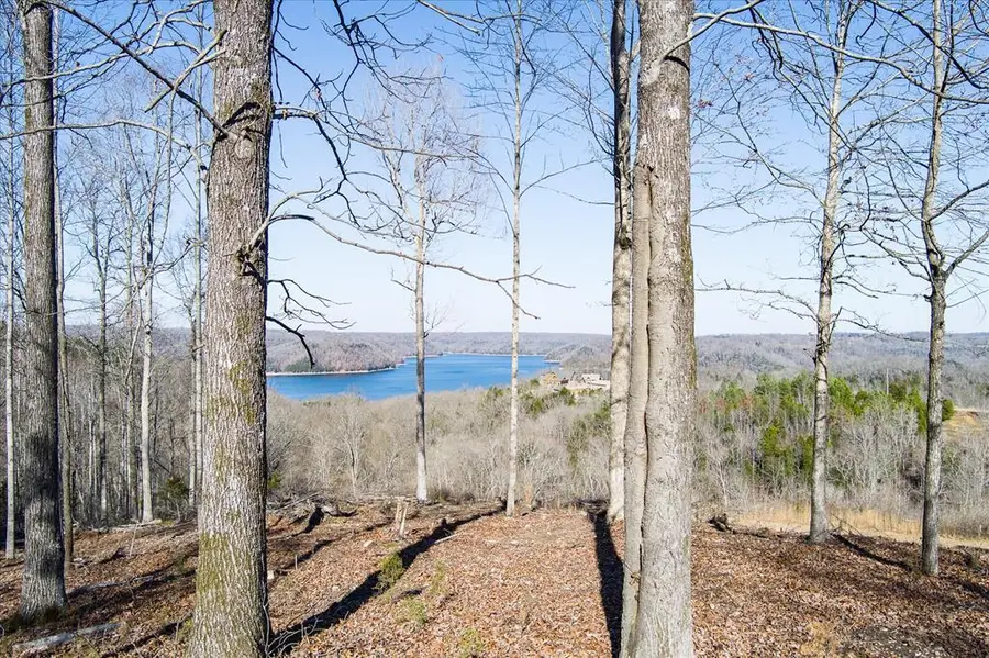 Lot 24 Lillydale Rd, Byrdstown, TN 38549 - Image #2