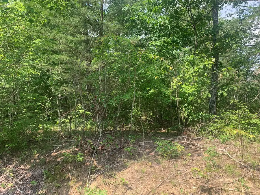 Lot 324 Timber Wood Trail, Spencer, TN 38585 - Image #3