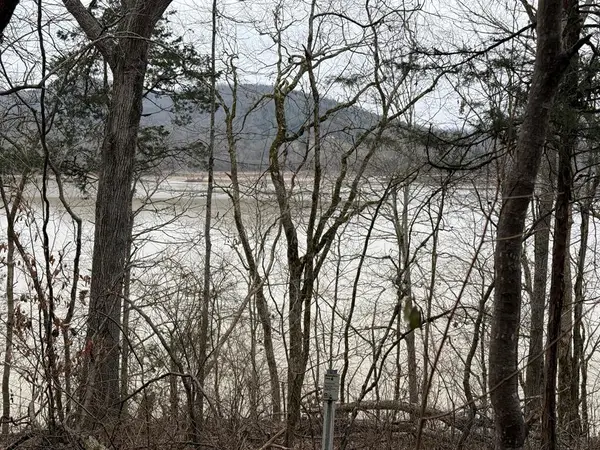 37.88 Ac Cook Ln, GAINESBORO, TN 38562