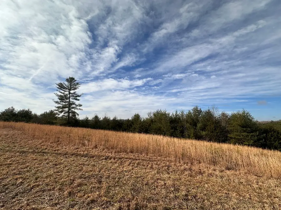 6.94ac White Crk, Deer Lodge, TN 37726 - Image #3