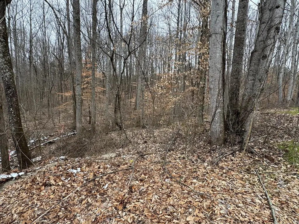 643 Ewell Dr, Cookeville, TN 38506 - Image #1