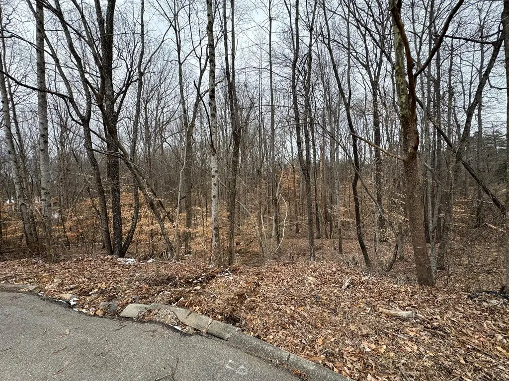 Lot 14 Stonewall Dr, Cookeville, TN 38506 - Image #1