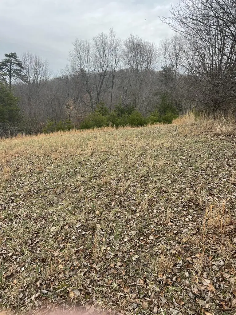 00 Twin Falls Rd, Byrdstown, TN 38549 - Image #3