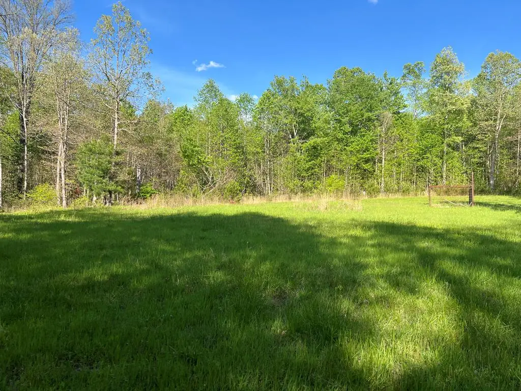 328ac Peavine Firetower Rd, Crossville, TN 38571 - #1