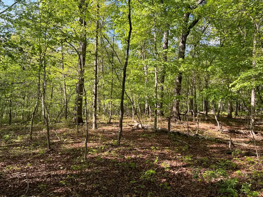 328ac Peavine Firetower Rd, Crossville, TN 38571 - #2