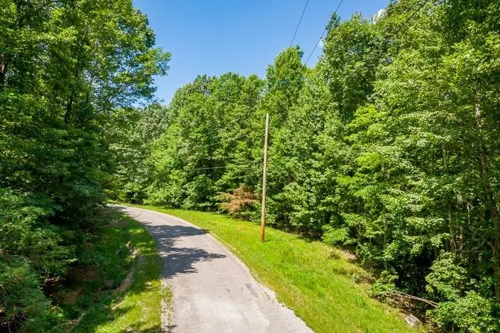Lot 2 Tanner Dr, Monterey, TN 38574 - #1
