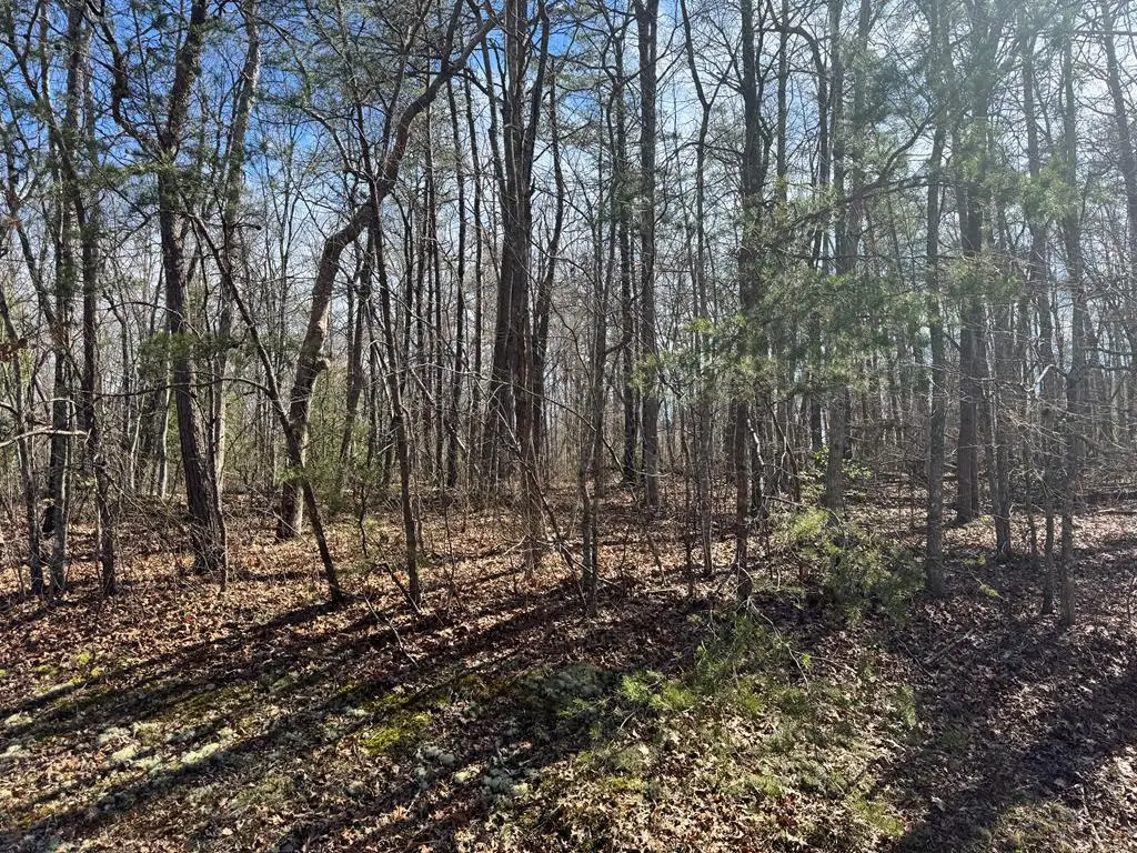 0 N Laurel Loop, Monterey, TN 38574 - #1