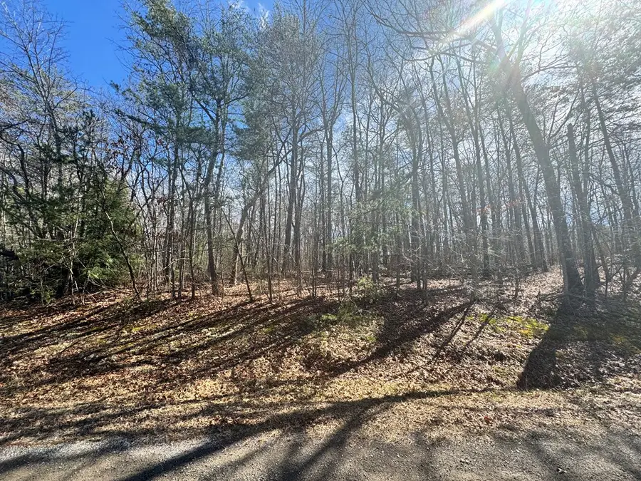 0 N Laurel Loop, Monterey, TN 38574 - #2