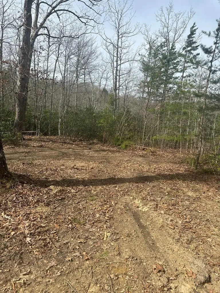 Lot 432 Valley View Circle Lot 432, Wilder, TN 38589 - Image #3