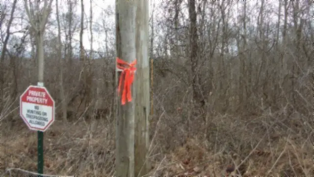 Tract 24 Beaver Lane, Gainesboro, TN 38562 - Image #2