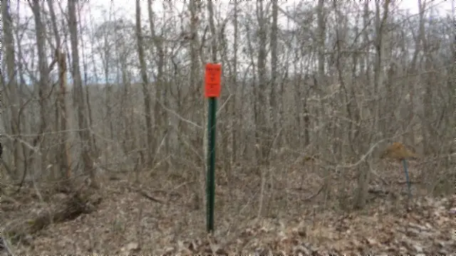 Tract 24 Beaver Lane, Gainesboro, TN 38562 - Image #3