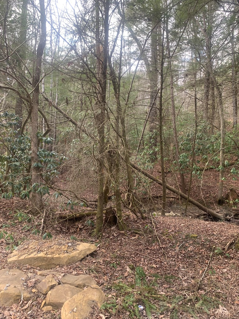 Address Withheld By Seller, Sunbright, TN 37872 - Image #2