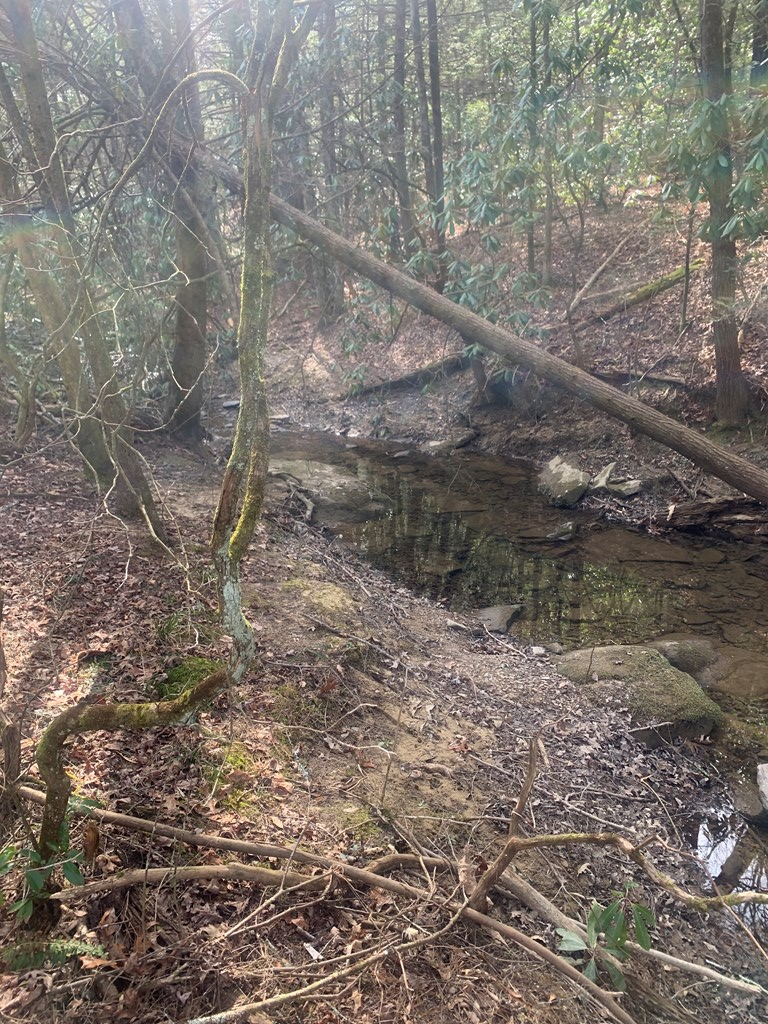 Address Withheld By Seller, Sunbright, TN 37872 - Image #3